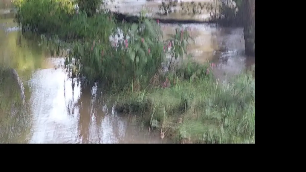 5fdf69c7-d056-4fbc-94d1-94cfba571860_inbound1758973390263345528