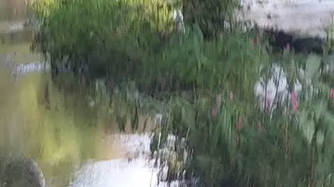 5fdf69c7-d056-4fbc-94d1-94cfba571860_inbound1758973390263345528