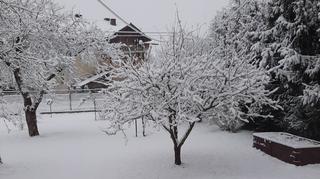 Województwo Małopolskie, Jawiszowice
