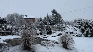 Zima w miejscowości Zarudzie (Lubelskie)