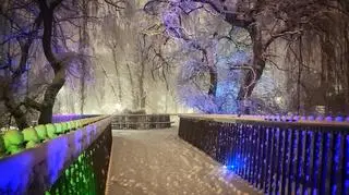 Zima w Kościanie