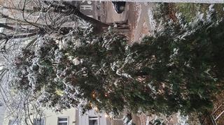 Pierwszy śnieg w Kaliszu