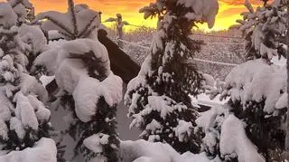 Wschód słońca z Wadowic (Małopolskie)