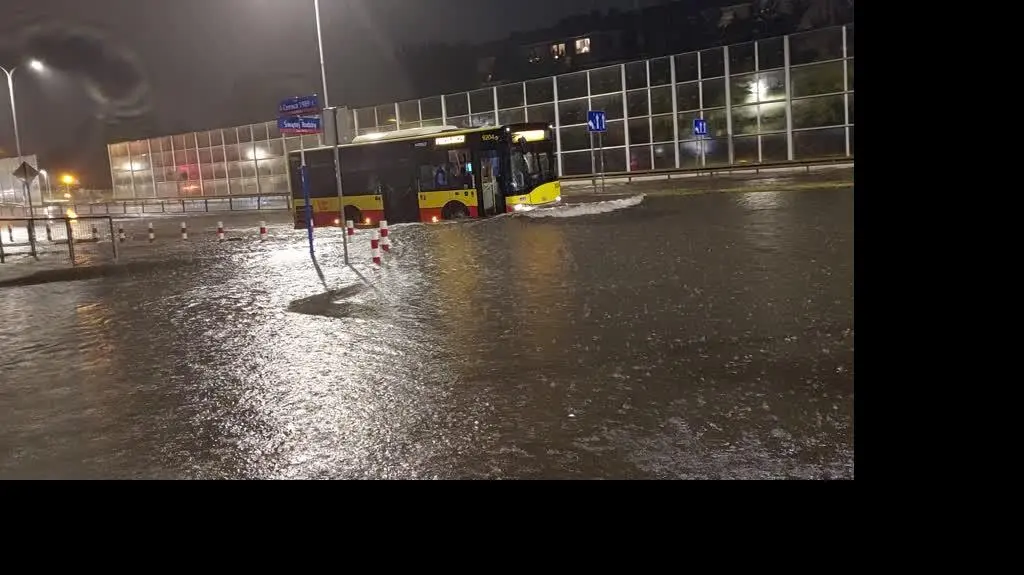 inbound3117785596892151066