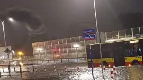 inbound3117785596892151066