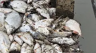 Kanał doprowadzający wodę do EC Siekierki