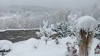 Wola Stróska (Małopolskie)