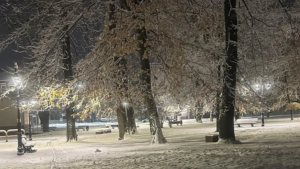 Tarnowskie Góry, zima
