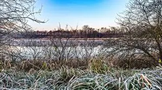 Jesień nieśmiało przekomarza się z zimą, Stęszew (Wielkopolskie)