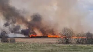 Pożar w Biebrzy, Krasnybór