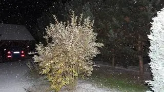 Zaczął mocno sypać śnieg