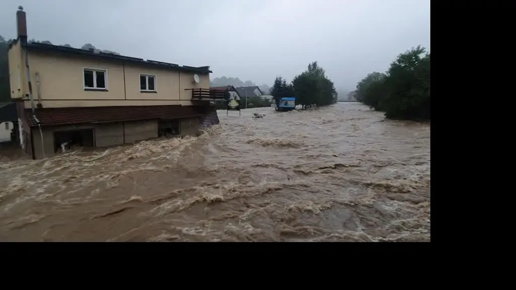 b1e1b57f-8b16-4cfb-9bef-db600bd6c36b_20240915_082628