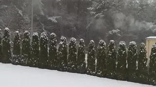 Ranek na Kaszubach, Bytów (Pomorskie)