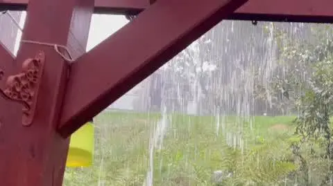 339925d9-95b7-4d28-b2ea-ea2595e0a868_IMG_0805