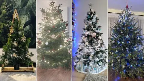 Kolorowe, ekologiczne, świecące. Pokazaliście swoje choinki