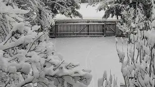 Smarżowa (Podkarpackie)