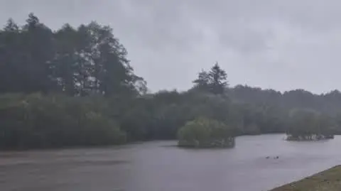 b12d1a3b-c55f-42a8-b967-0a15e91b7ac5_20240915_095018