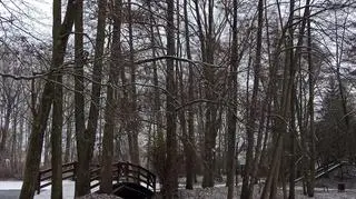 Nowy Tomyśl (Wielkopolskie)