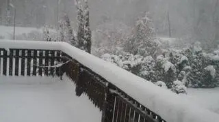 Czechowice-Dziedzice (Śląskie)