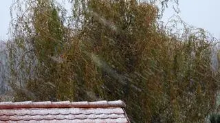Pierwszy śnieg, mokry i szybko topniejący, Ornontowice
