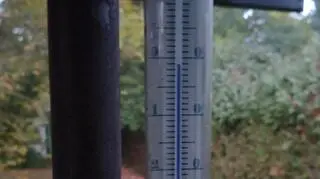 Zimno, Międzyborów okolice Żyrardowa (Mazowieckie)
