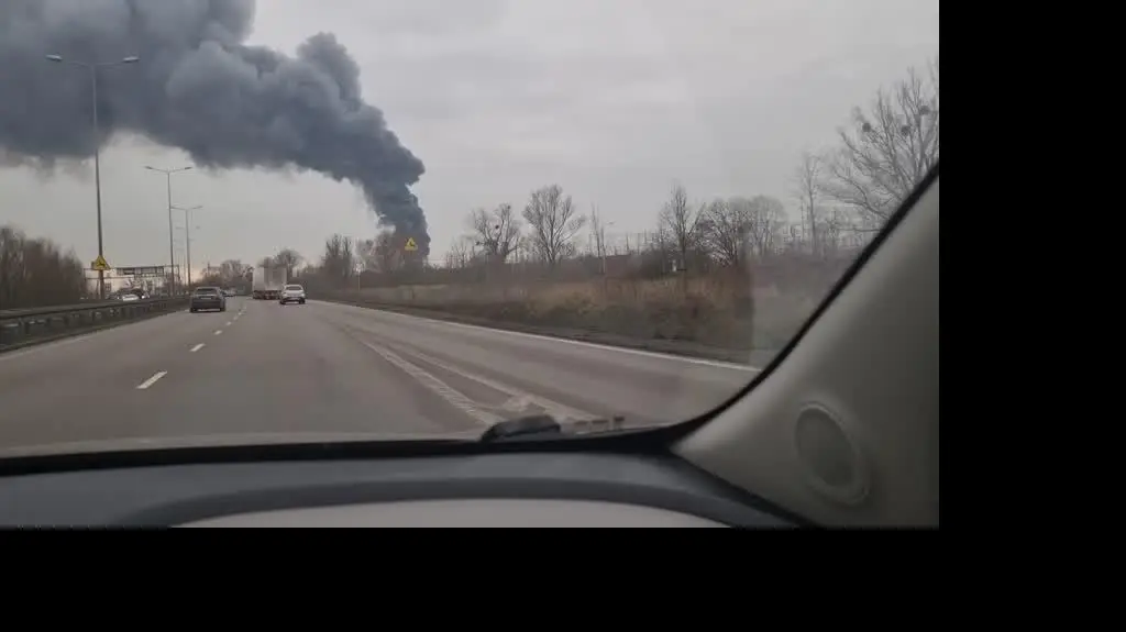 95bd9f33-4e52-4425-896b-e9b8c663e4e5_20250205-132759