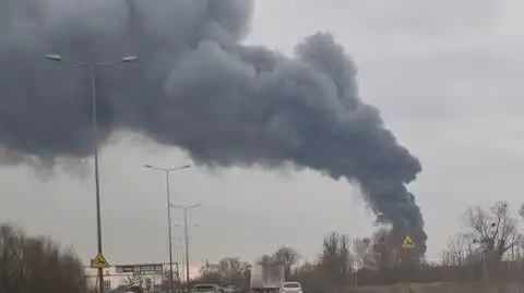 95bd9f33-4e52-4425-896b-e9b8c663e4e5_20250205-132759