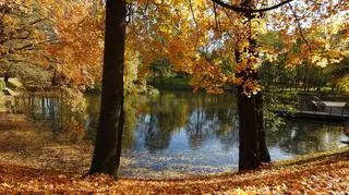 Wyż znad Bałkanów poprawi pogodę