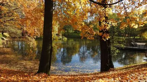 Wszystkich Świętych w jesiennej scenerii