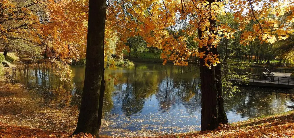 Wyż znad Bałkanów poprawi pogodę