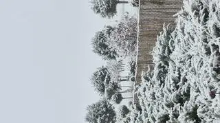 Gilowice koło Żywca (Śląskie)