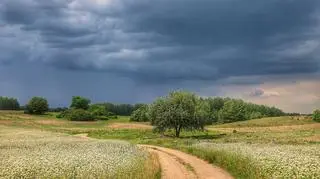Burza w Ogrodnikach (Podlaskie) 