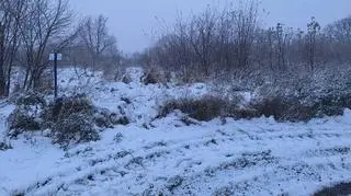 Zima w zaślubionym morzu Pucku