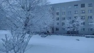 Poranek w Rybniku