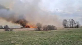 Pożar w Biebrzy, Krasnybór