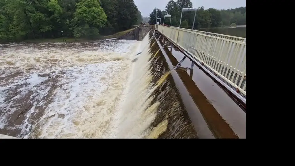 3ea10185-66a7-46ef-84ce-cb3a4fb92528_20240915_173356