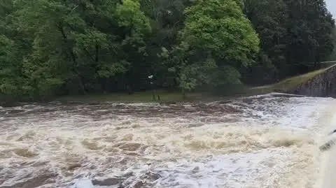 3ea10185-66a7-46ef-84ce-cb3a4fb92528_20240915_173356