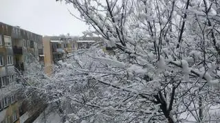 Dziś o poranku w Legnicy 