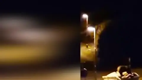 18eb227e-6807-4bf4-a380-4b8419938386_niedzwiadek