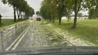 Trasa Raciąż - Drobin, 5.06, około g. 11