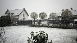 Zamość (Lubelskie)