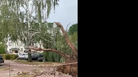 cff6cf36-ea29-4164-bba8-e984915fa13d_VID_20240819_143154