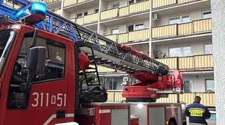 Strażacy ratujący gołębia zaplątanego w siatkę, Tarchomin 