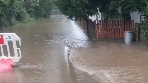 81209e31-aa5b-424e-991c-a1bb84466a4c_20240915_111112