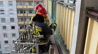 Strażacy ratujący gołębia zaplątanego w siatkę, Tarchomin 