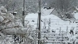 Piekary (Małopolskie)