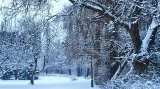 Park Sielecki w Sosnowcu 