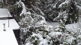 Śnieżna jesień w Krakowie 