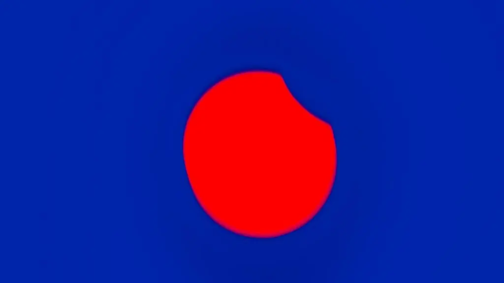 zdj7