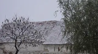 Pierwszy śnieg, Oleszna (Dolnośląskie)